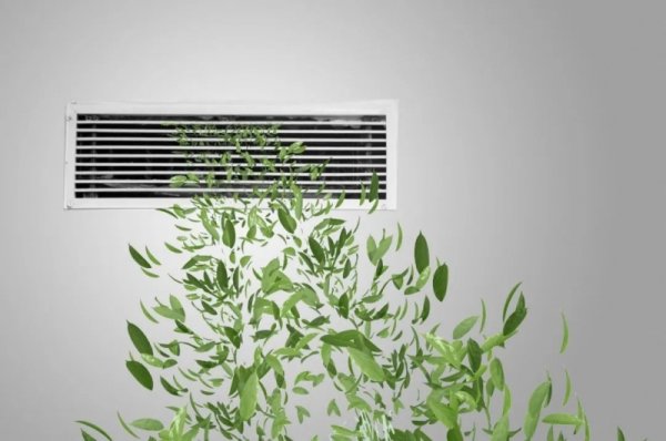 牛弘配资 能呼吸会喘气儿，会成为家电行业新“内卷”方向吗？